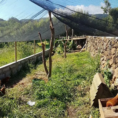 Quinta Rico *